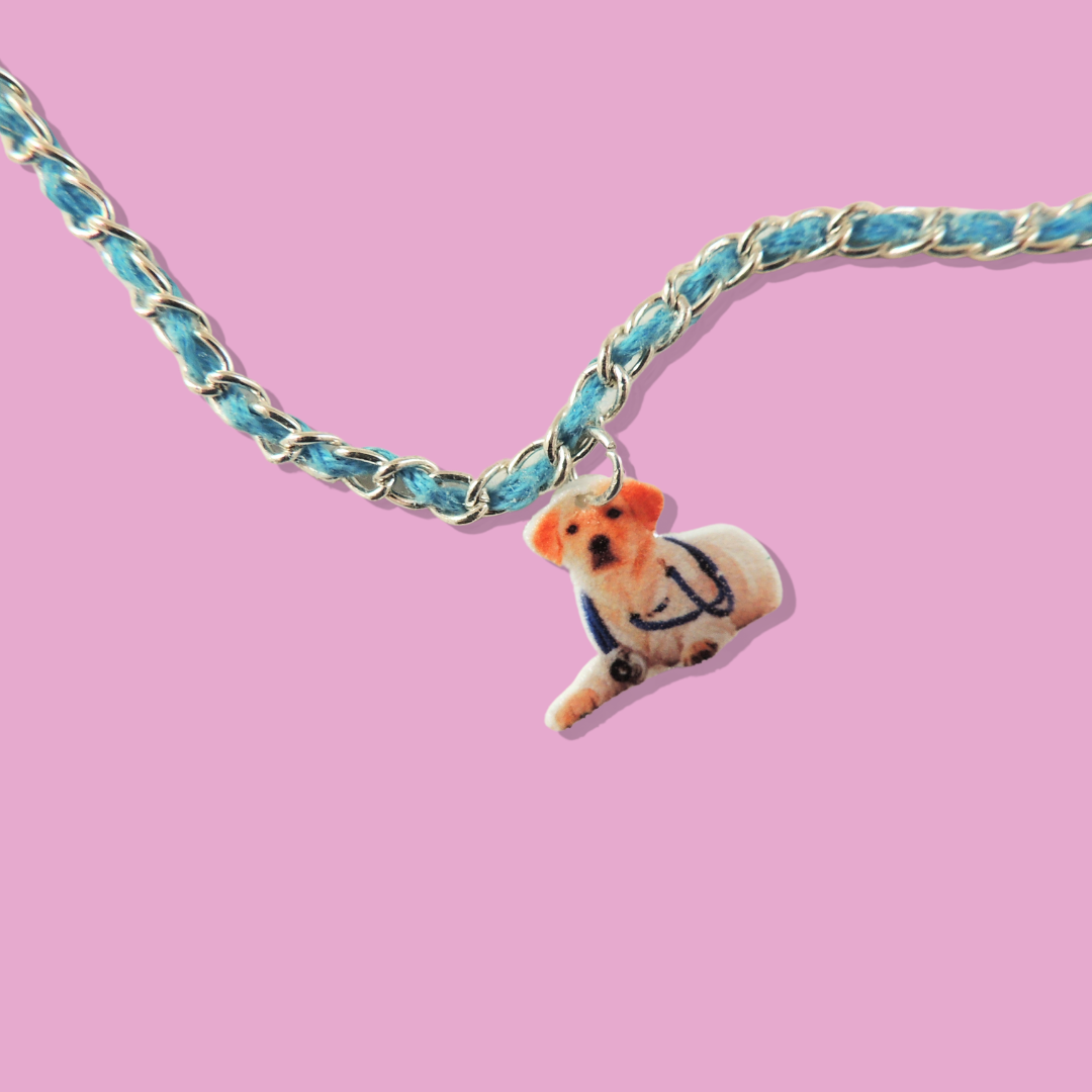 Dogtor | Vision Charm