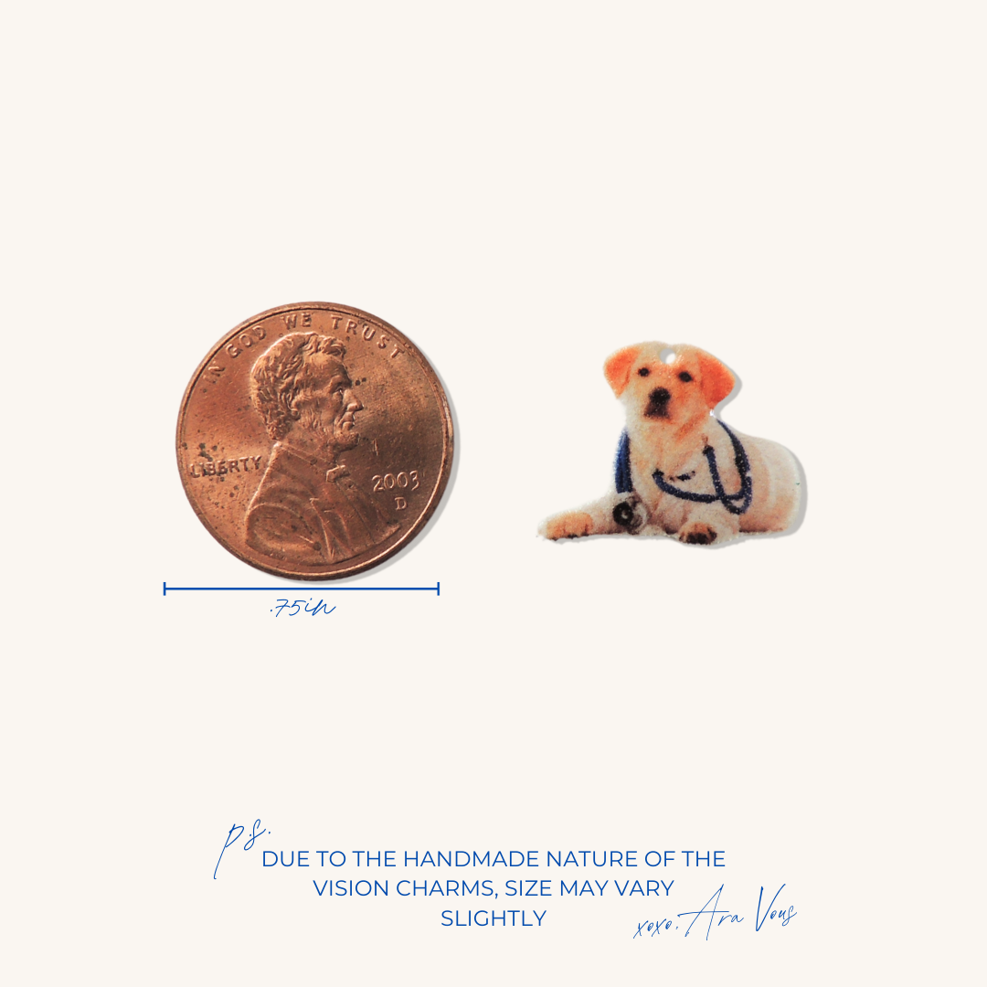 Dogtor | Vision Charm