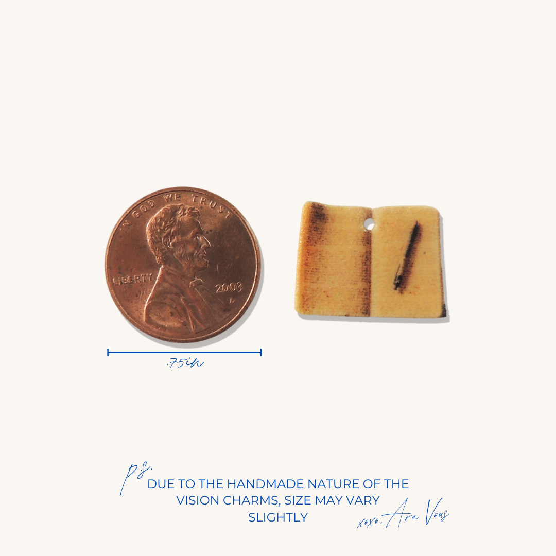 Journal | Vision Charm