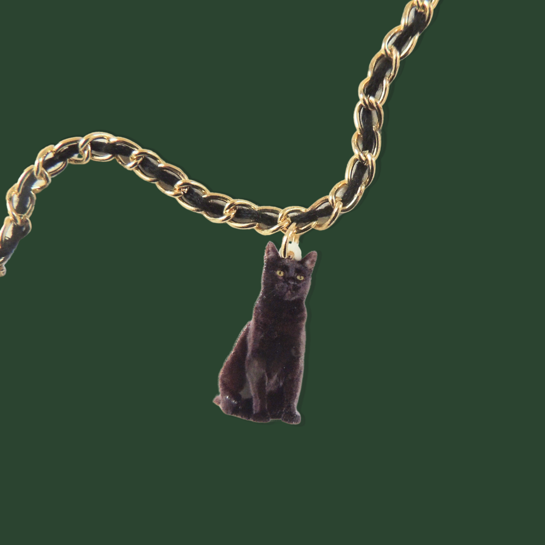 Black Cat | Vision Charm