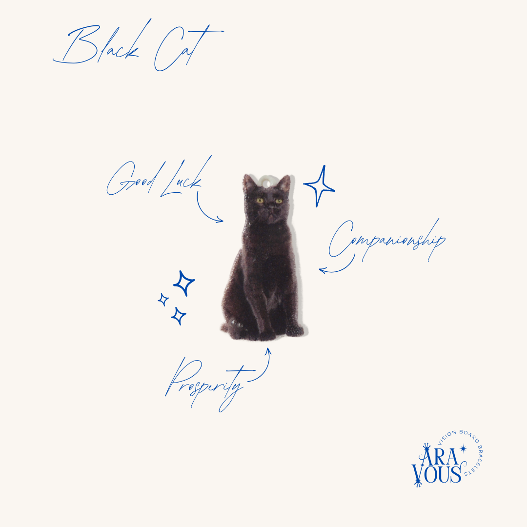 Black Cat | Vision Charm
