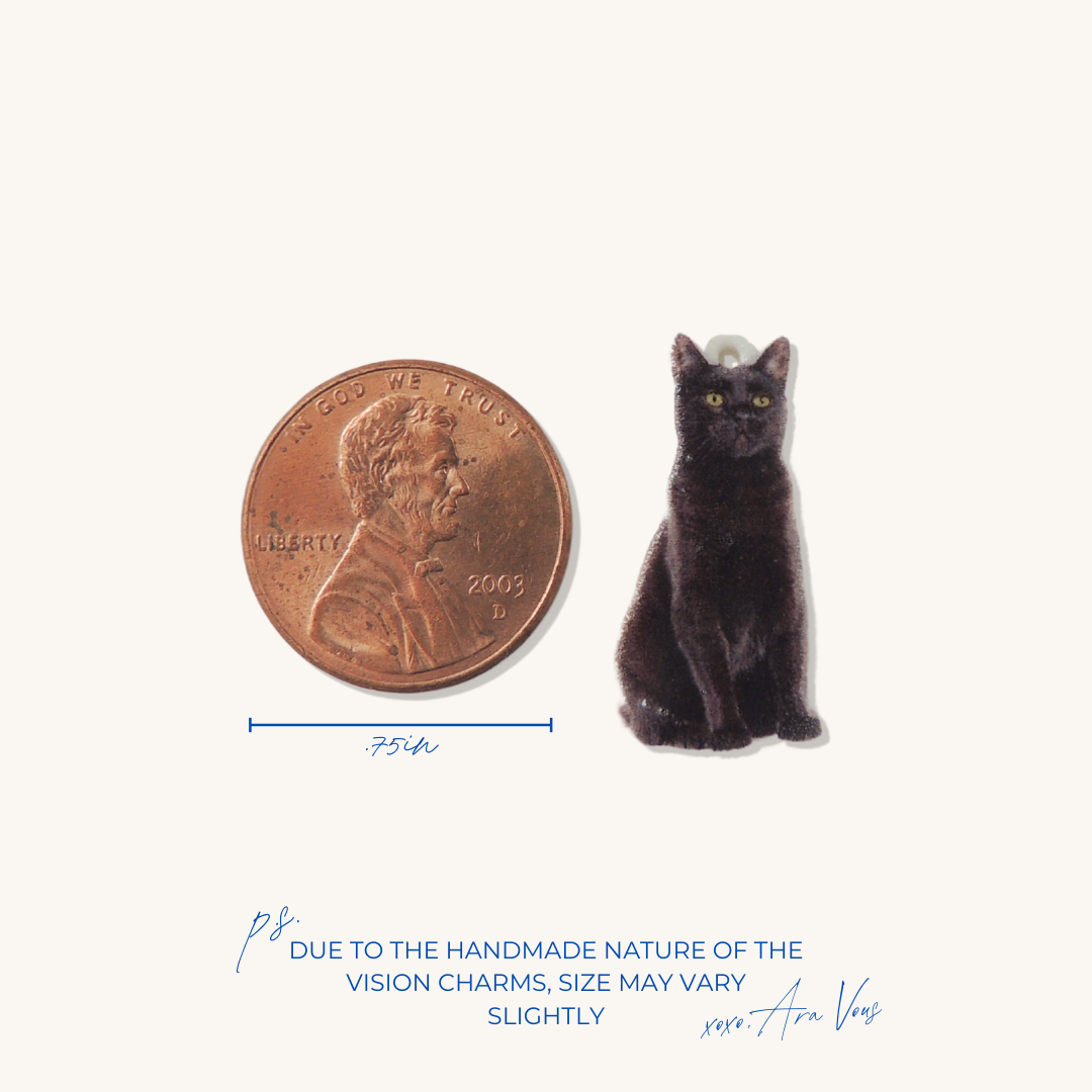 Black Cat | Vision Charm